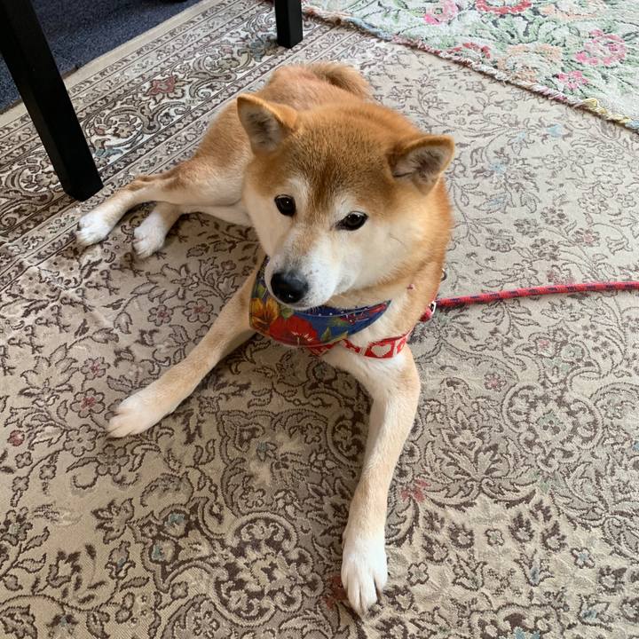 De335755 c18a 4a6b 9271 4df41441b5ec 1590053589632