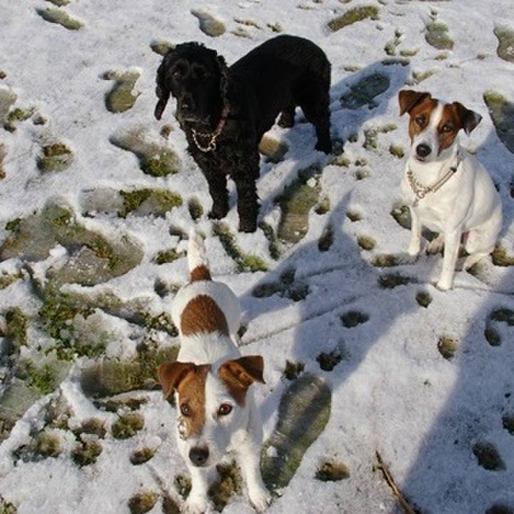 De335a35 e0b1 439e 9796 df9bdd9b4781 1678334099062