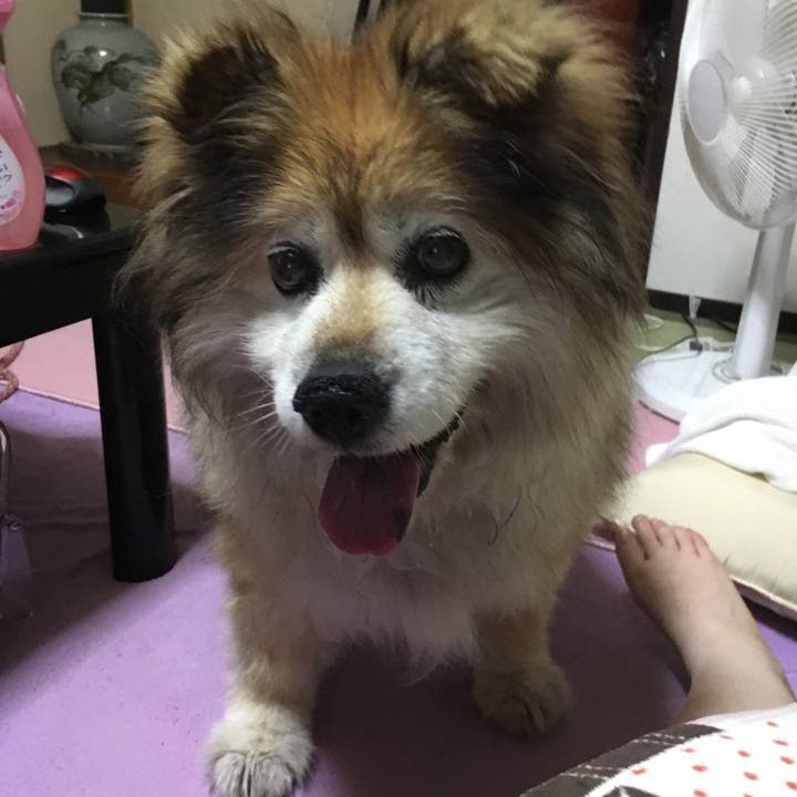 De339463 a729 46f5 93eb daa38d8f9071 1590304874584