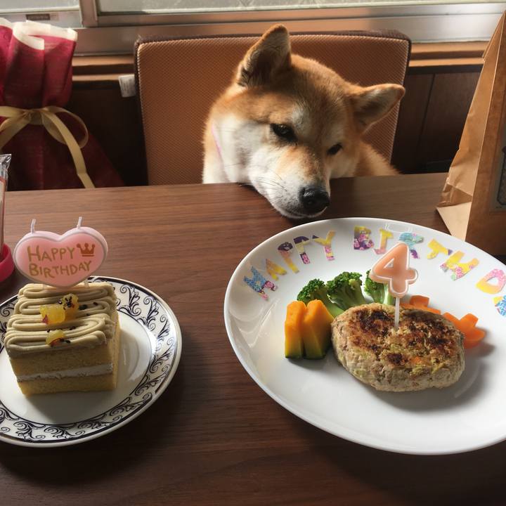 De33a874 162d 4c52 ba46 29bcde25ef9c 1541888260186