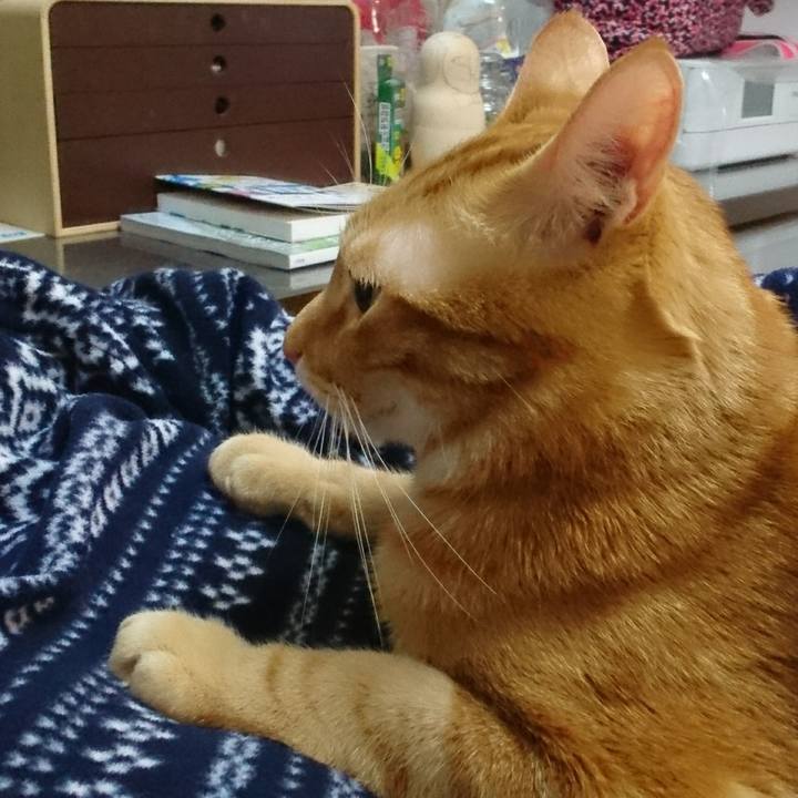 De33aefb 6a00 4a00 aca3 5fa57c09d8d4 1514379895435