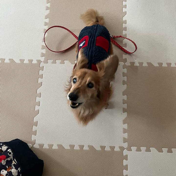 De33b341 5854 4868 87e5 69b0bd6f717e 1678111886911