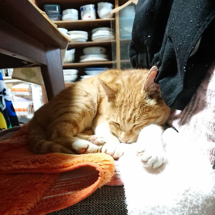 De34147b f633 4fa9 b50a 94b84c7931b5 1606514514585