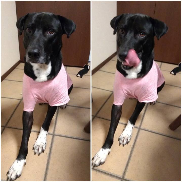 De342ae9 cdb5 4104 87a4 dedb53740ce8 1615372341109