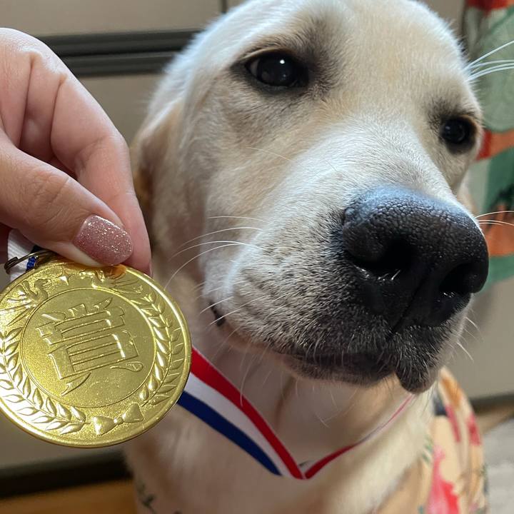 De342c4f 57b0 4ee1 8354 73c316d3b4ca 1622726184486