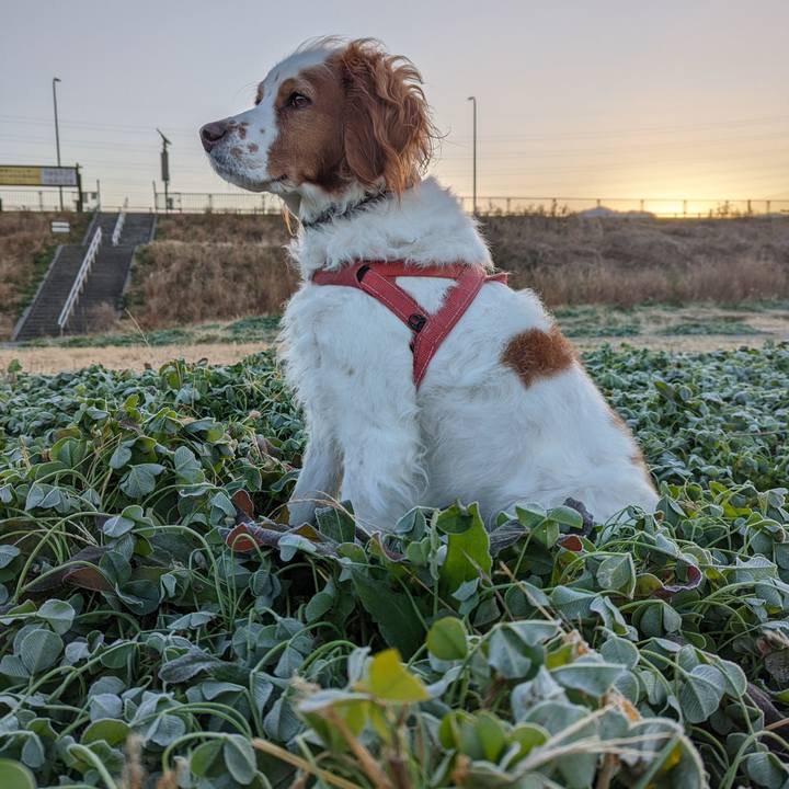 De342dba 1073 4e94 91f7 3733cef2f4d1 1640224785502