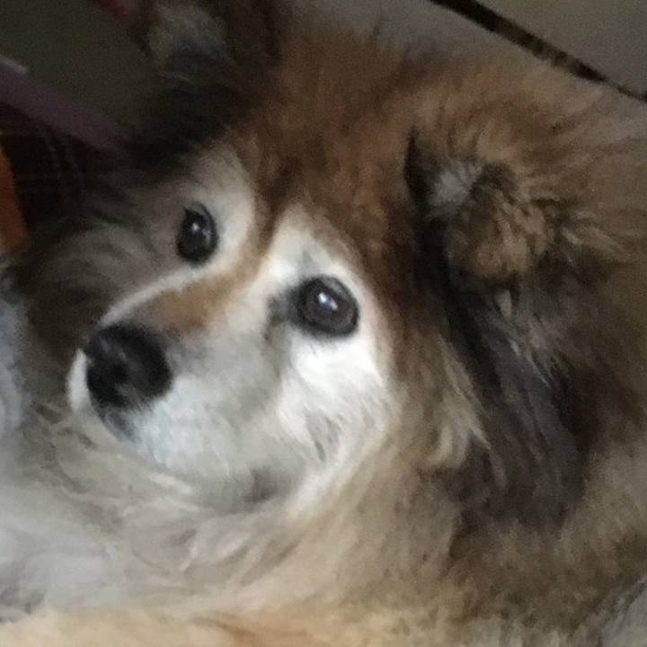 De343ba7 c4a1 4acb 9611 2f5b815ac0d9 1608084070283