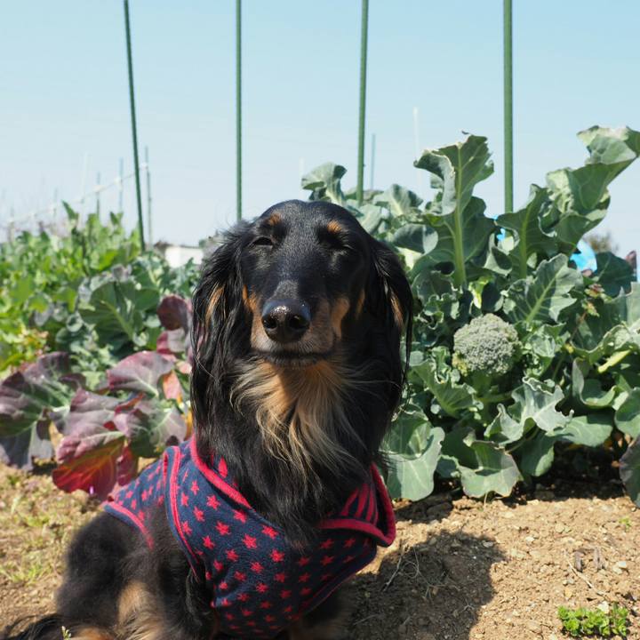 De344d03 8df9 4c0d 90f7 5acc4f0cdf2f 1553492043678