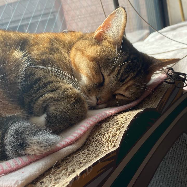 De34a82c cfea 4391 827c c9110352bd16 1644032529433