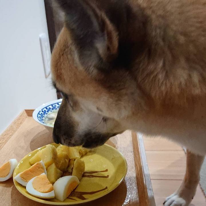 De35a1ad b962 450d 947d 633be3f01460 1548164931770