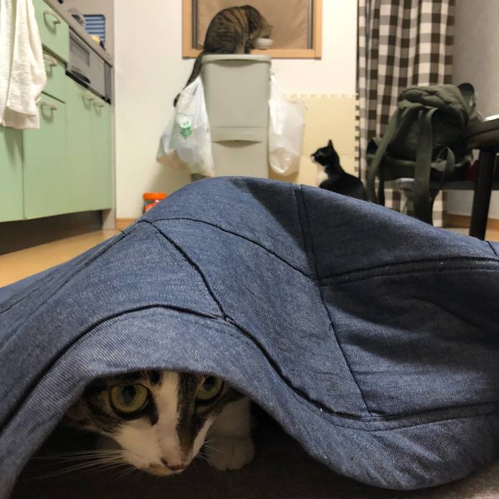 De35cebf fb6c 4439 a0be 7be3bb68f226 1570509838358