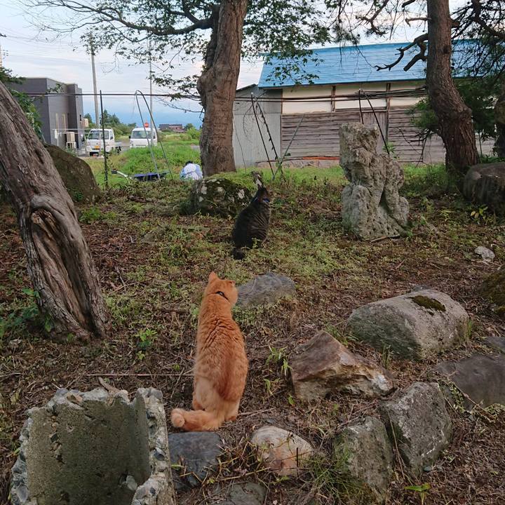 De35d266 c74e 4194 983f 5b7bb7cc63a1 1658655812913