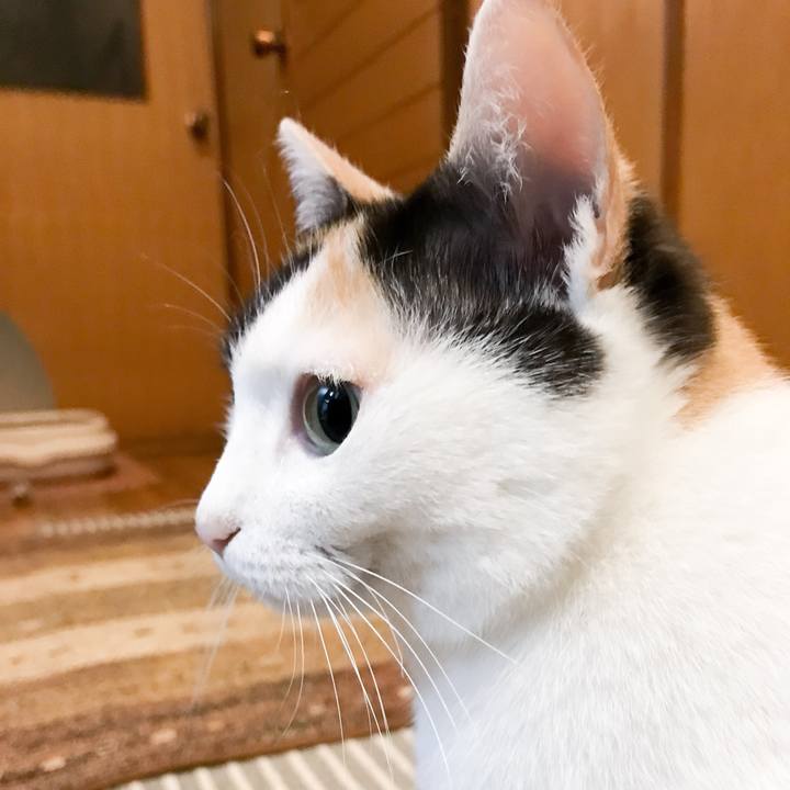 De35ea60 2f12 42f9 8ff0 aa0aa6d59d48 1523630423685