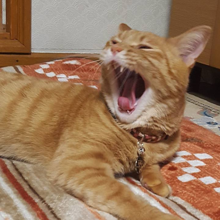 De361eed 28ed 4126 8a8b e5fa743e7b78 1513078227232