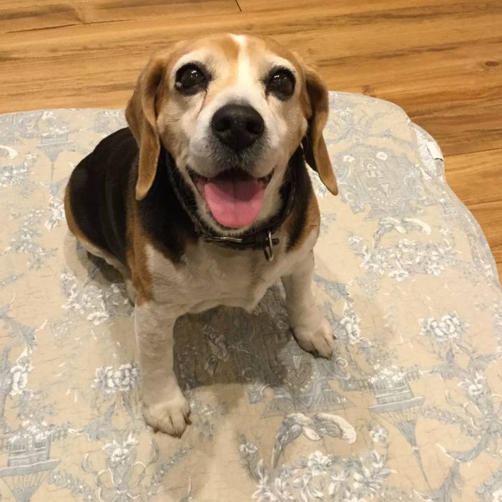 De363d80 d3d3 4bb6 99d6 8c4580ef8450 1551522501247