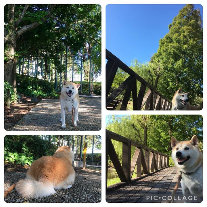 De364761 9158 4656 87ce 58e736c05858 1726400396171