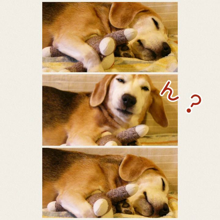 De3698fb de85 4376 b0d3 c5b5cccaeae4 1668991976181