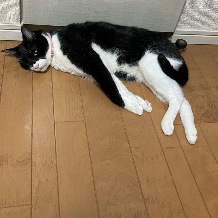 De36b5b5 6472 4cdc 8589 570bcb775f05 1672817775094