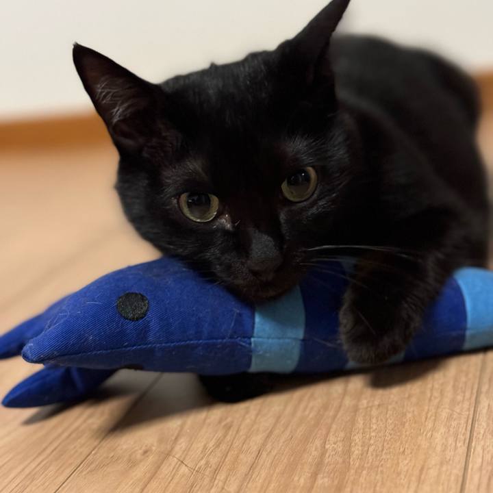 De36bd45 b0e4 4ea6 ad28 fce7432ed3cd 1720597113108