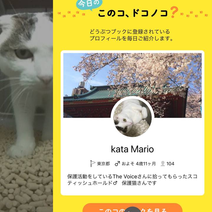 De36f2ff ca7f 43d3 b513 667d68e8243e 1566359773270