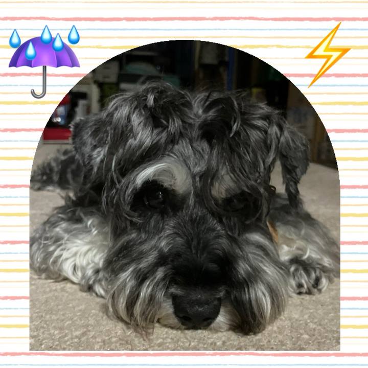 De36fdd5 5078 4891 9f93 25e7a1df592d 1721396448735