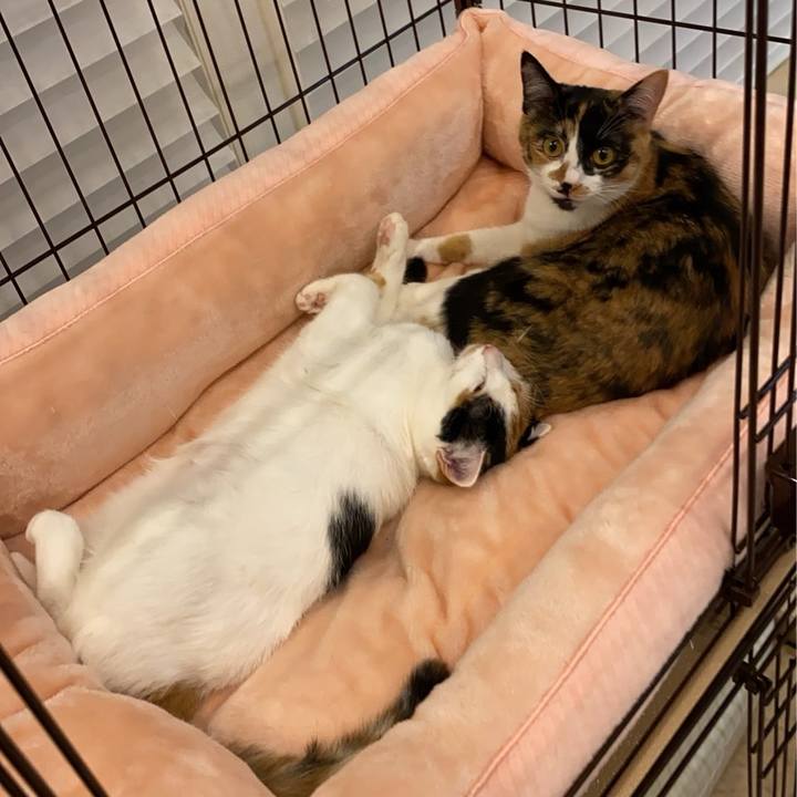 De370244 966b 4cc7 81c0 e605b103d3fb 1770280105016