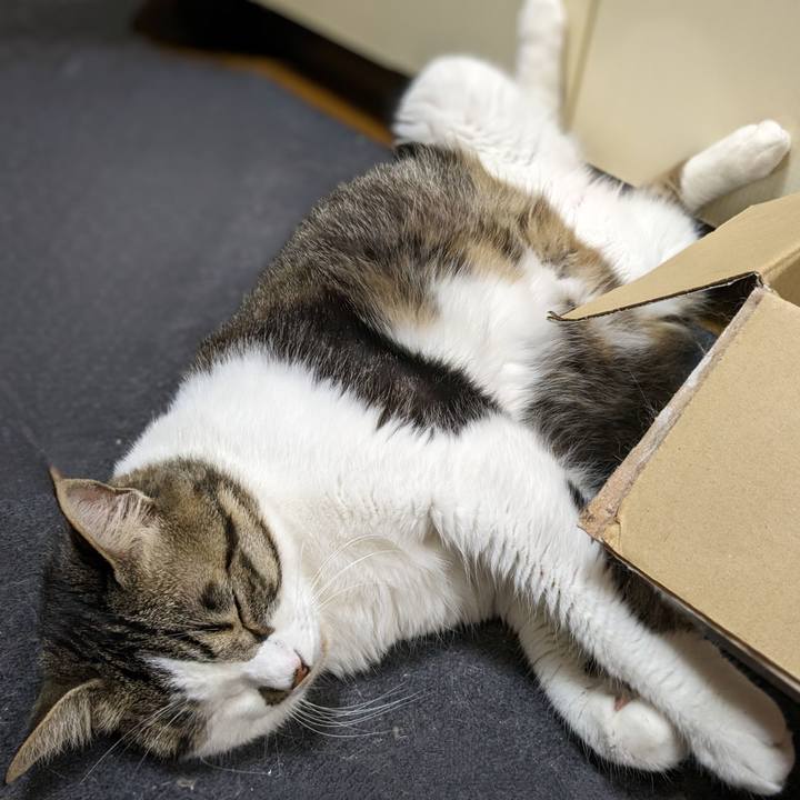 De371842 5db3 4896 9100 e5f5ade4b209 1681646889427