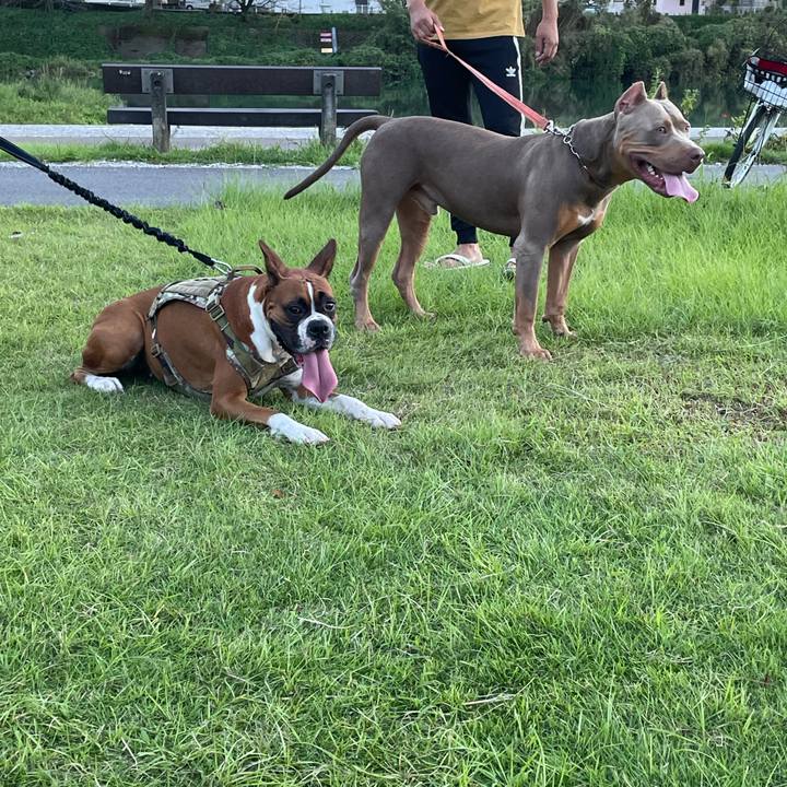 De372a82 7b9b 4531 84b8 7e98afbc7ecb 1663933823842