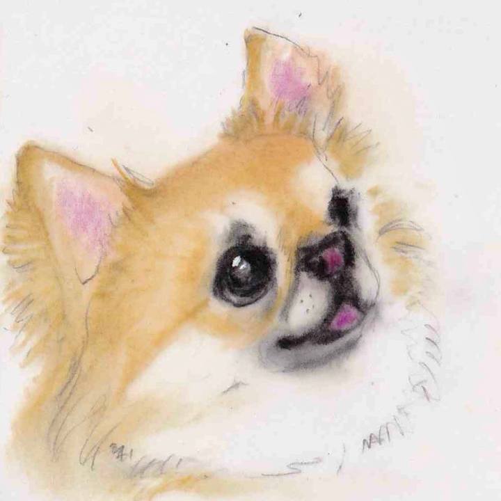 De372d84 5137 46e7 b750 711406c7b87c 1632321195640