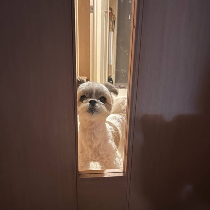 De373bfd 38a4 421b bec4 63cb6cb16045 1660281190572