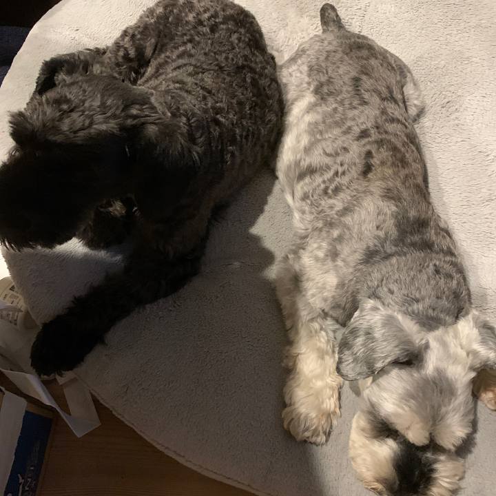 De375aae a0ff 4562 acf8 ba5b929d8b4c 1693560930156