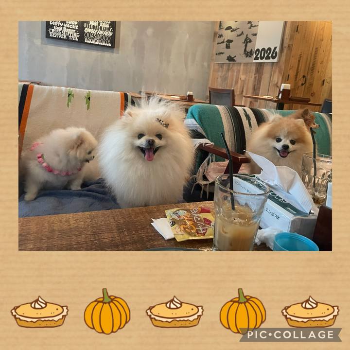 De37606b cd72 46c6 a912 e5fd1abdacf6 1730460025964