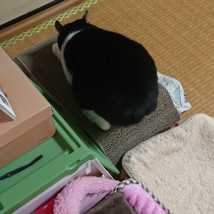 De376541 8b6d 4aee 942a 5d2391232e97 1586144106581