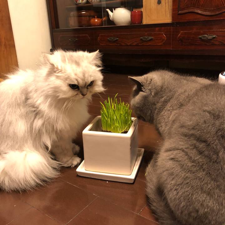 De377e5a 554a 43ba a134 580859ae34dc 1618832256824