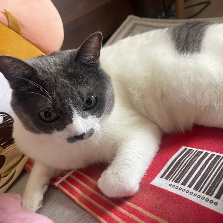 De37822d 9ec4 42cc 91c5 ecdce47d452b 1755560166159