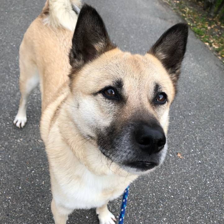 De37a216 0cd4 4d87 8ab8 66e0beec7bfe 1619178525998