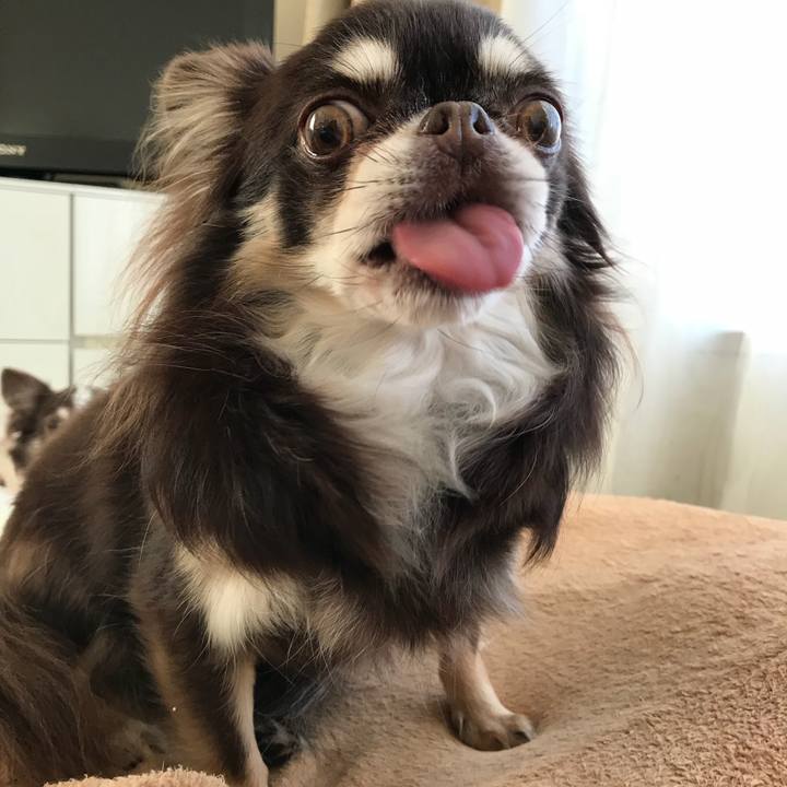 De37c82f 52d2 4fd0 bf02 5e93f31db5be 1513925392699