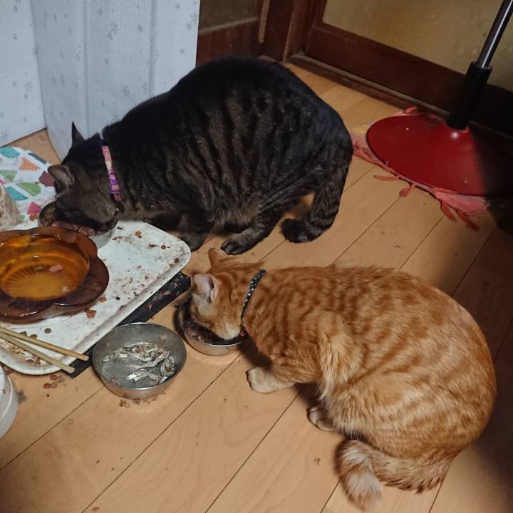 De37d06c 6a28 4cf5 8553 6af9c1727bf2 1647512419484