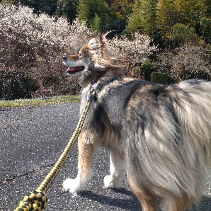 De37e47a de71 4163 9d06 de15ed3ae1e2 1582526696223