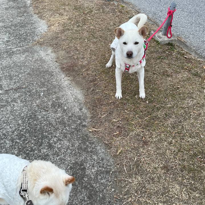 De37f1bb 3628 4c57 8969 44e94ff7e9d1 1641475791311