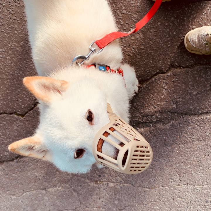 De380daf 31df 45ee b0fc 439b1755ec4b 1562449406289