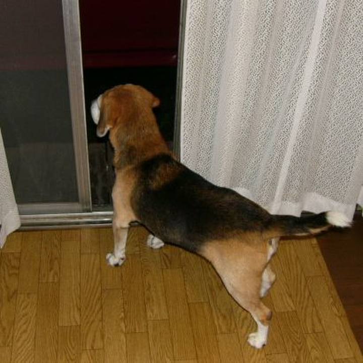 De382882 31a8 4292 9050 af35259d79e0 1643246172835