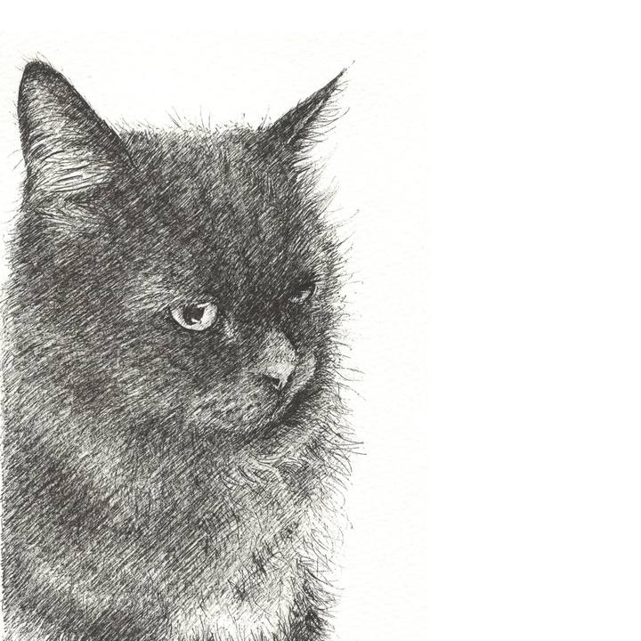 De385403 f474 4097 8cf2 4d90e81f2cab 1569337434024