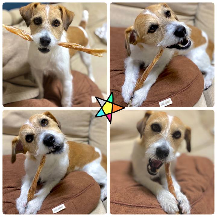 De3854f2 f8bc 46ac bbd2 aad6a19f0f5d 1583498071277