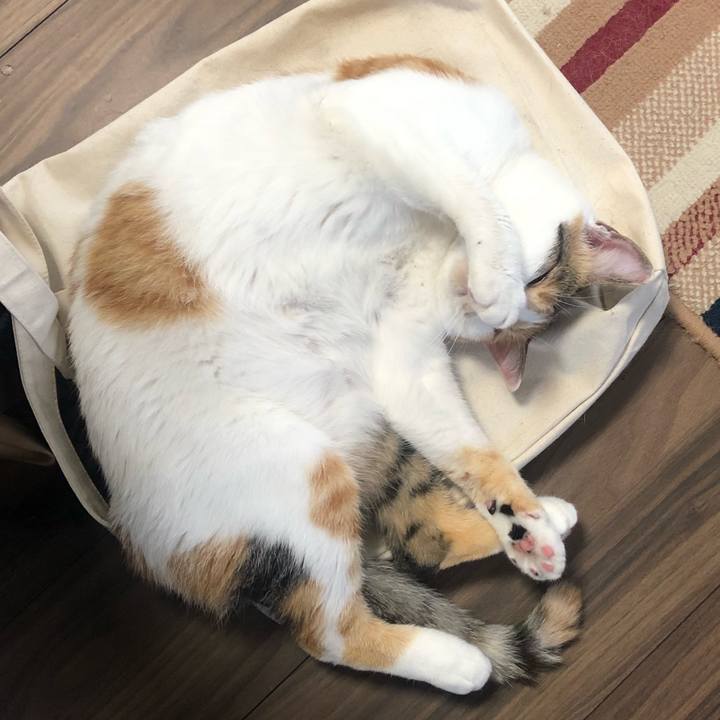 De387a55 b949 4a4a a9c0 a75ec60584e0 1599796529037