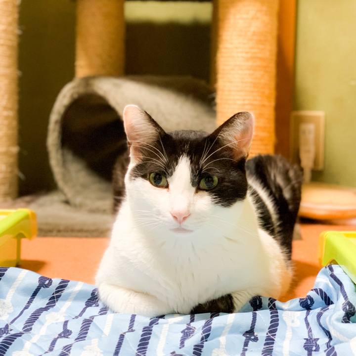 De3881ee 935a 4909 acfe fe461a4a2fe5 1572573618548