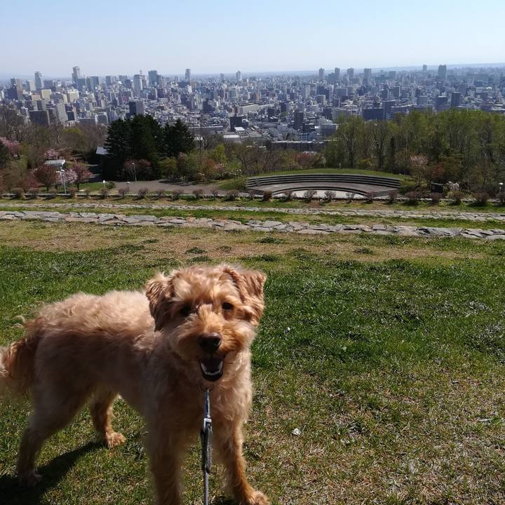 De389756 36a8 45ca aa9a 78c509e96d19 1556931732136