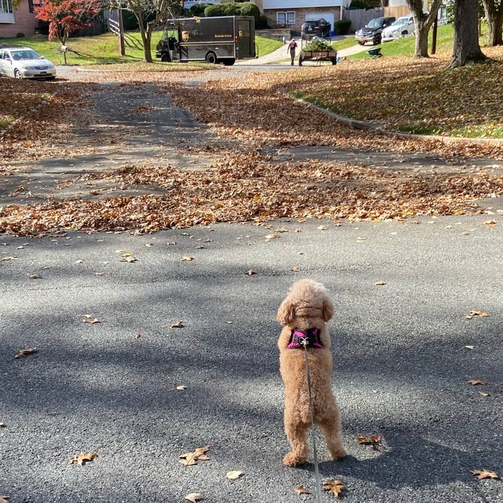 De389b43 380f 4b5b bc48 948009b07c56 1667671815928