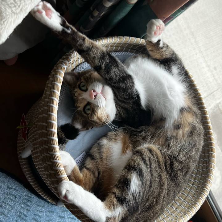 De389c9b 02c9 47cd bd5c ebb8ed8ffd04 1760851731553