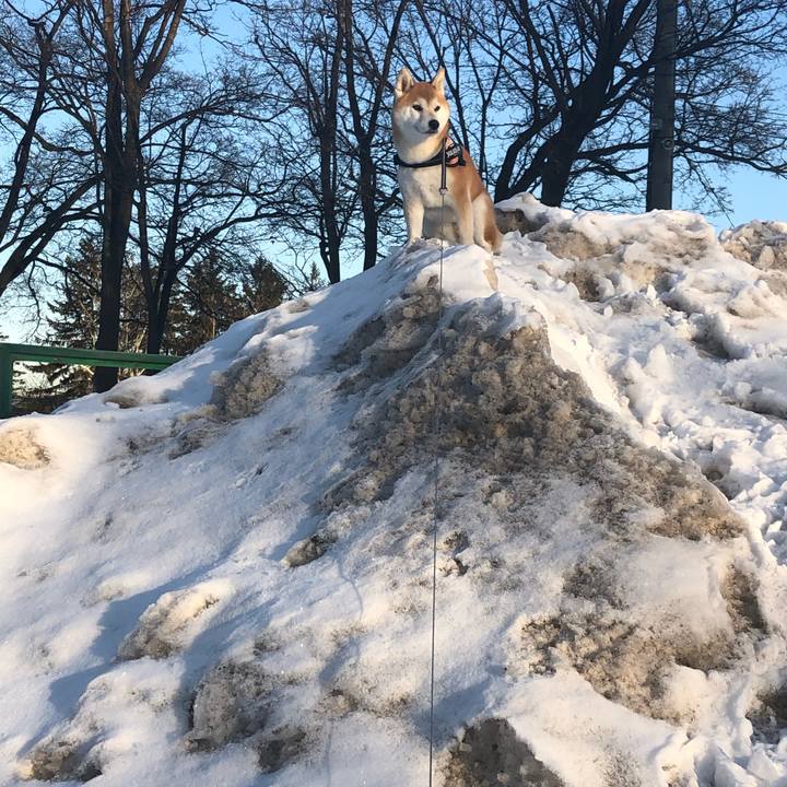 De38b05c 3178 46b7 b8f7 980be00ab2dd 1580171564223